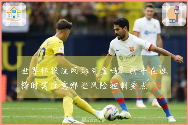 世界杯投注网站可靠吗？新手在选择时需注意哪些风险控制要点
