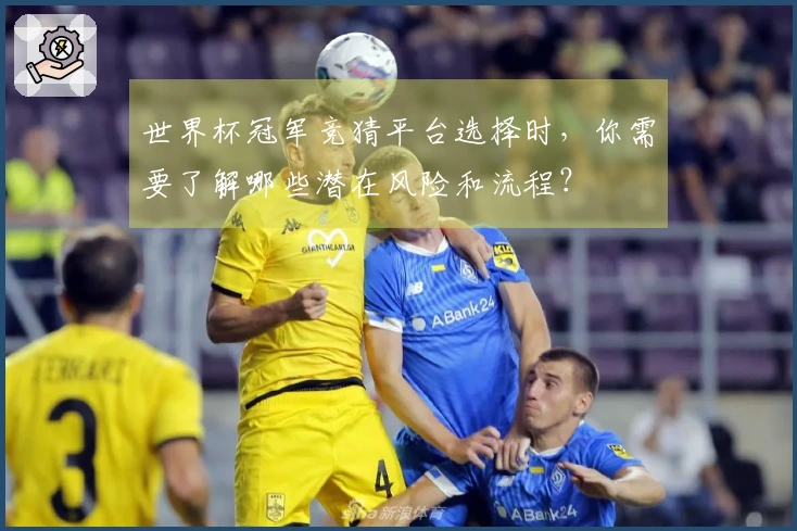 世界杯冠军竞猜平台选择时，你需要了解哪些潜在风险和流程？