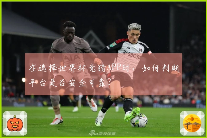 在选择世界杯竞猜APP时，如何判断平台是否安全可靠？