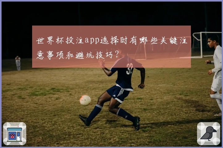 世界杯投注app选择时有哪些关键注意事项和避坑技巧？