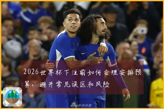 2026世界杯下注前如何合理安排预算，避开常见误区和风险