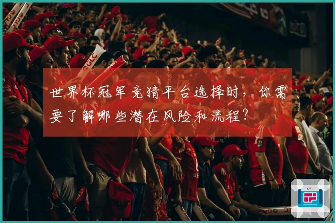 世界杯冠军竞猜平台选择时,你需要了解哪些潜在风险和流程?