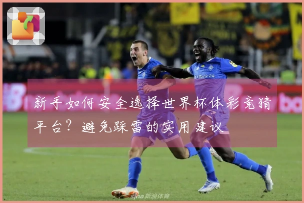 新手如何安全选择世界杯体彩竞猜平台？避免踩雷的实用建议