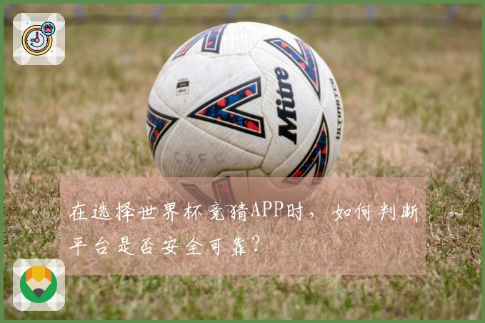 在选择世界杯竞猜APP时，如何判断平台是否安全可靠？