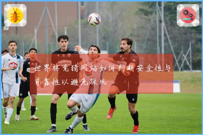 世界杯竞猜网站如何判断安全性与可靠性以避免踩坑