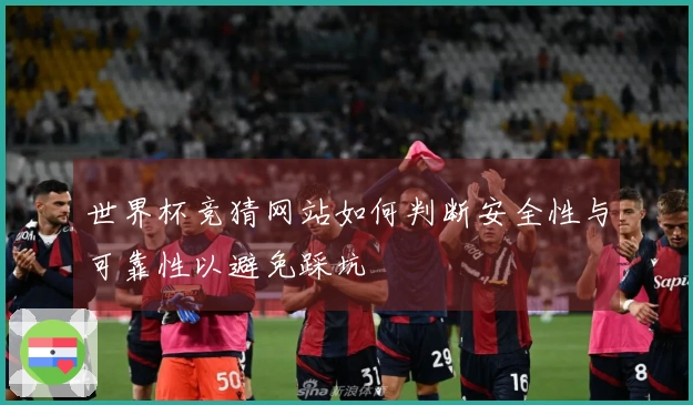 世界杯竞猜网站如何判断安全性与可靠性以避免踩坑